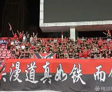 国内足球协会评选优秀教练榜单发布